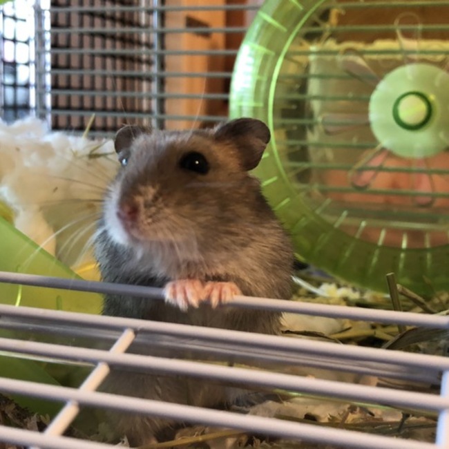 halu0920のカバー写真