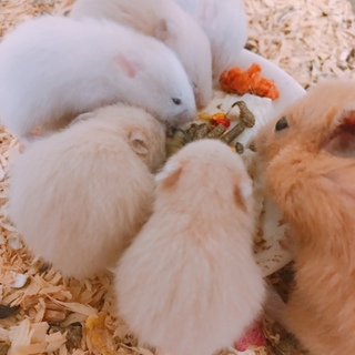 ありがとうございました！