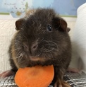 ありがとうございました！