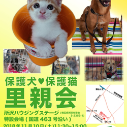 所沢ハウジングステージ犬猫譲渡会