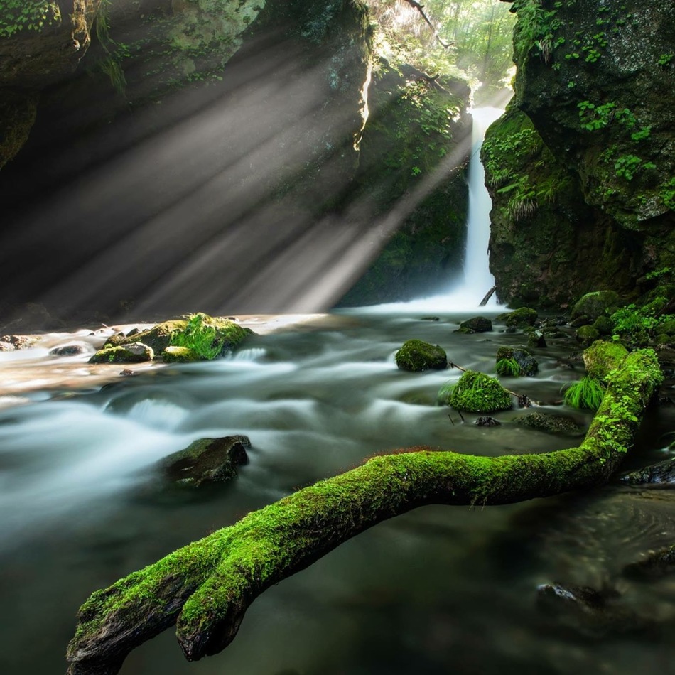 ピー助のカバー写真
