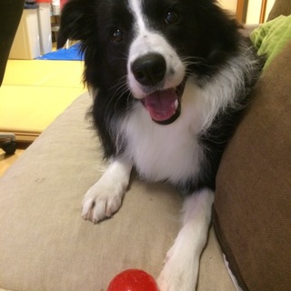 応募多数のため、募集を一時中止します