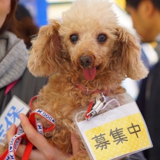 甘えん坊な男の子！