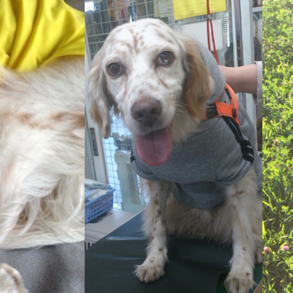 manaのカバー写真