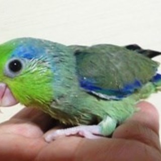 沢山のご応募ありがとうございました。感謝します。