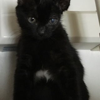 〈トライアル中！〉こずも君☆3ヶ月 