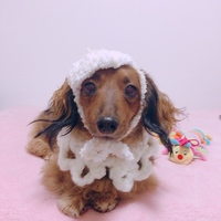 りん