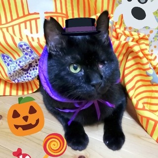 ハンデがあっても元気いっぱい【文太くん】
