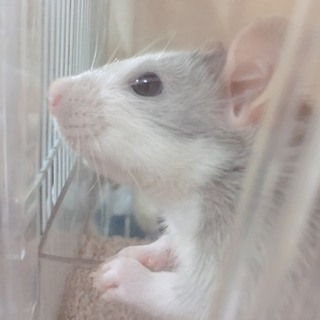 大切にしてくださる方