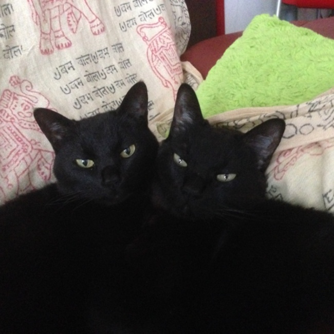 近藤コウのカバー写真