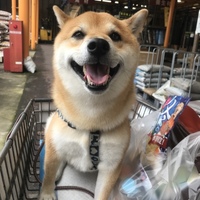 ろっくん