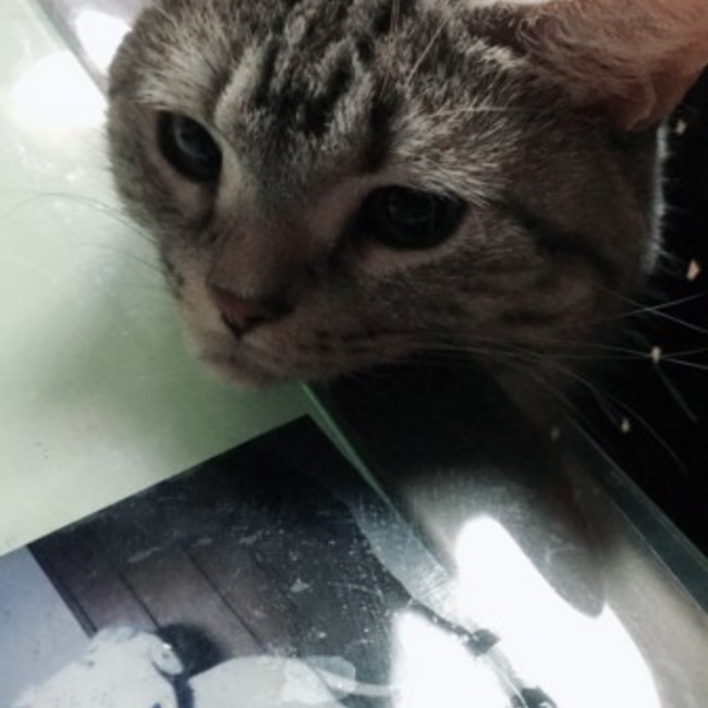 aoichan1220のカバー写真