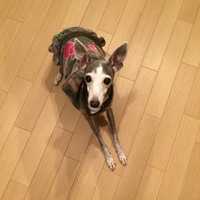 アリーチェ