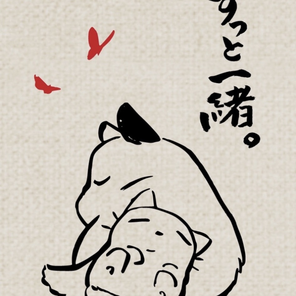 心(シン)のカバー写真