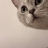 たけちゃん3
