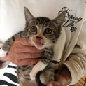 甘えん坊のキングくん