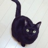 あずたまご