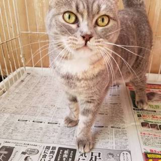 御家族で可愛がってくれる方