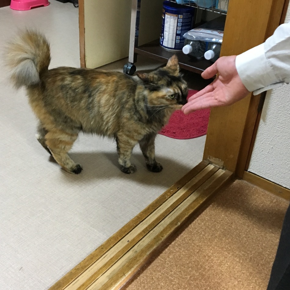 ぱんどらのカバー写真