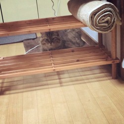 はじめての一人暮らし