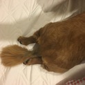 とても良い子です！！