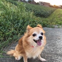 ビビりだけど明るい「パリス」ちゃん
