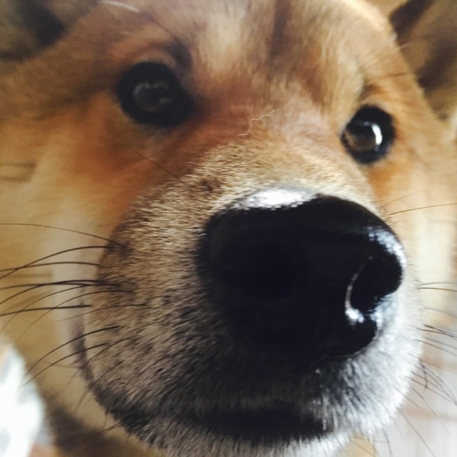 itsmihoのカバー写真