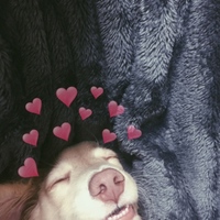 ベルグ