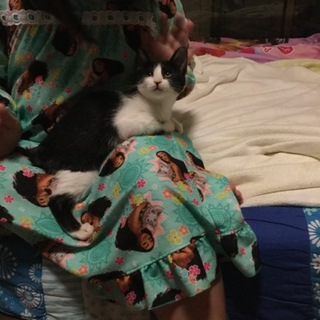 ありがとう御座いました