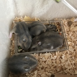 成長は、早いもんですね。。。