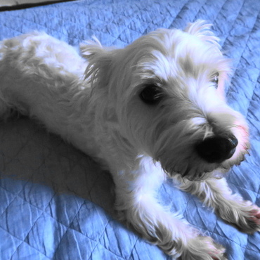 ヘアカットしました♡