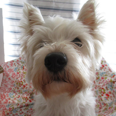 可愛いでしょ♪