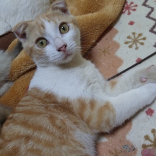 幸せにしてあげてください