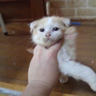 幸せにしてあげてください