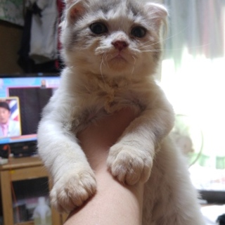 幸せにしてあげてください