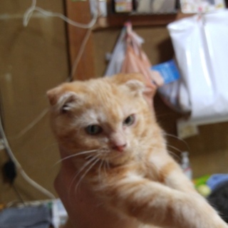 幸せにしてあげてください