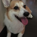 交渉中なので募集一旦中止でお願いします
