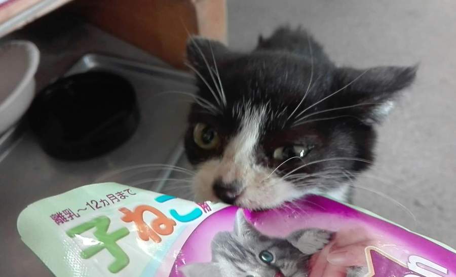 可愛い女の子です(=^・^=) サムネイル2