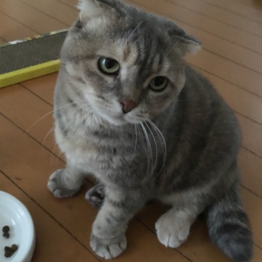 良くなりました