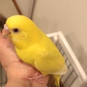 皆さまのご厚意に感謝致します！