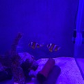 クマノミ2匹です。