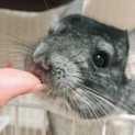 【交渉中のため募集ストップ】
