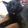 ぶちゃいくな寝顔 ^^;