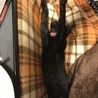 寝るときはバンザイ\(^^)/