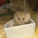 里親さん募集します！