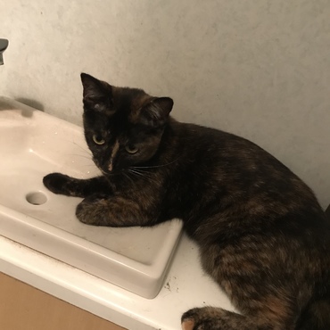 の写真