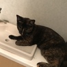 の写真