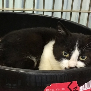 センターより無事引き出されています