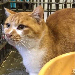 センターより無事引き出されています