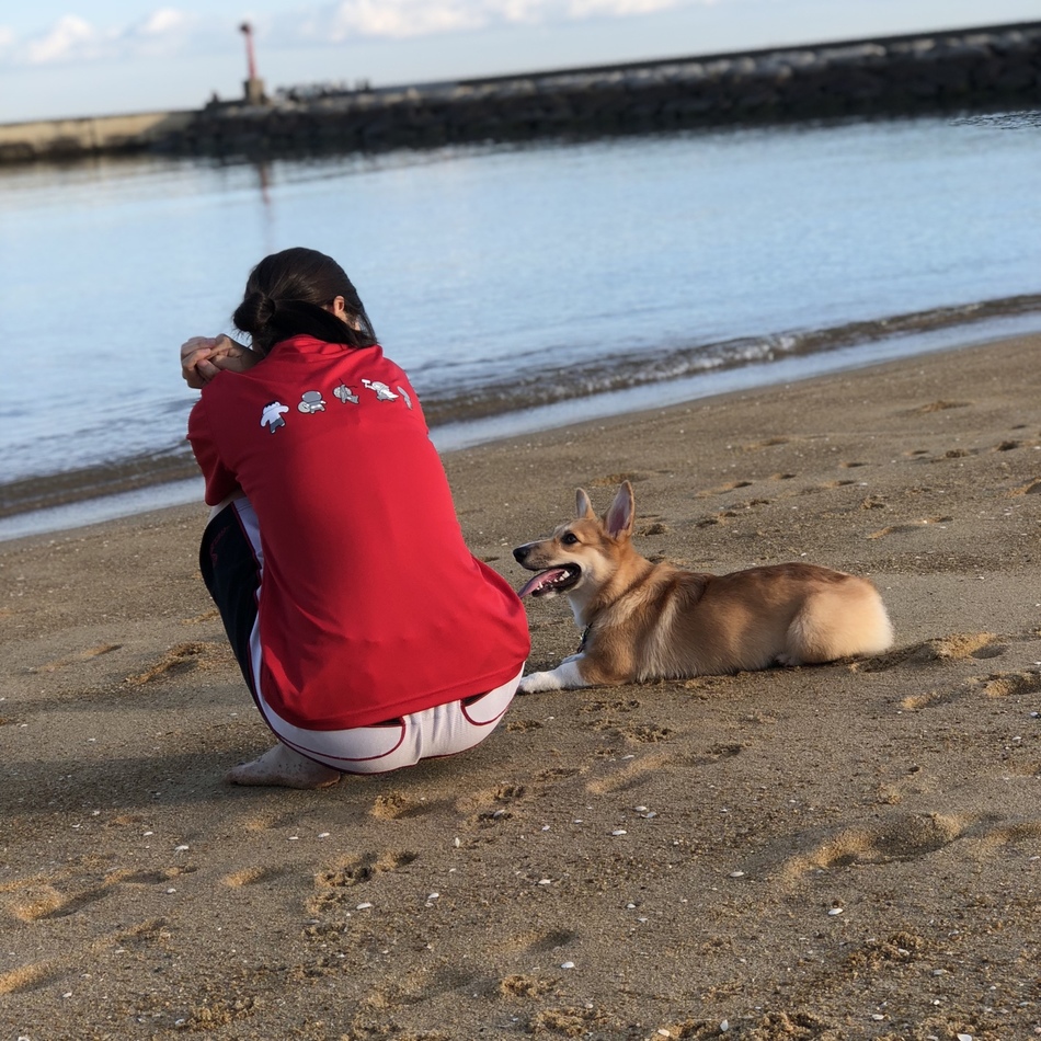 アルバのカバー写真